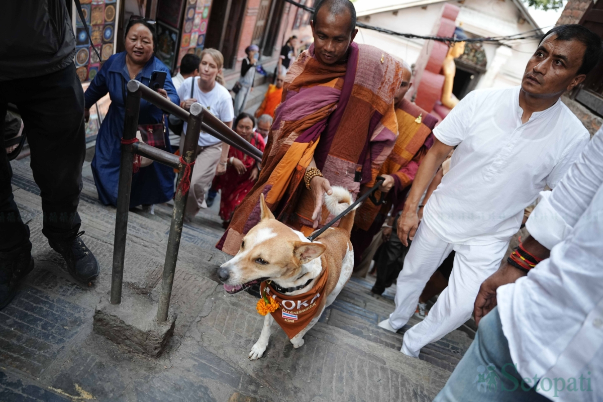 walk-for-peace-(15)-1781530683.jpg