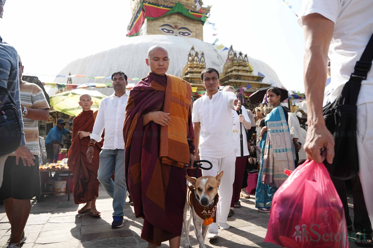 walk-for-peace-(4)-1781530681.jpg