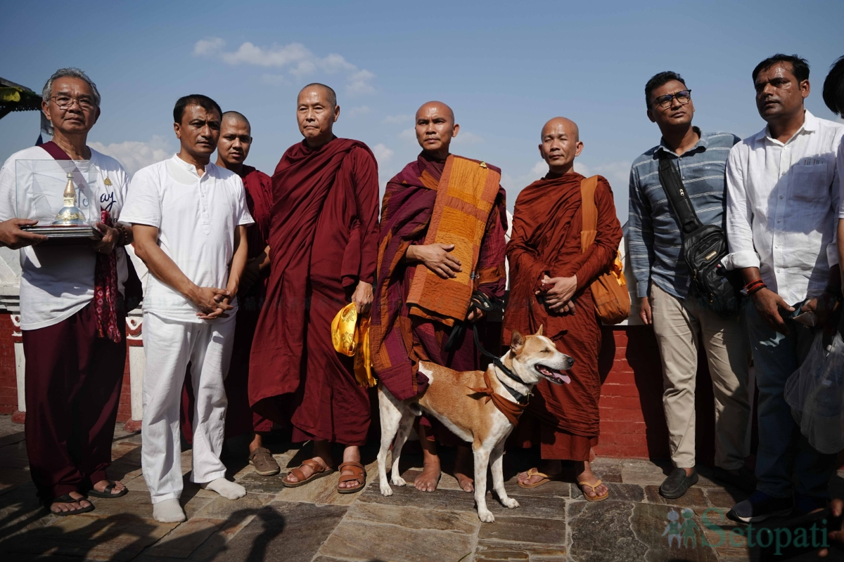 walk-for-peace-(7)-1781530681.jpg