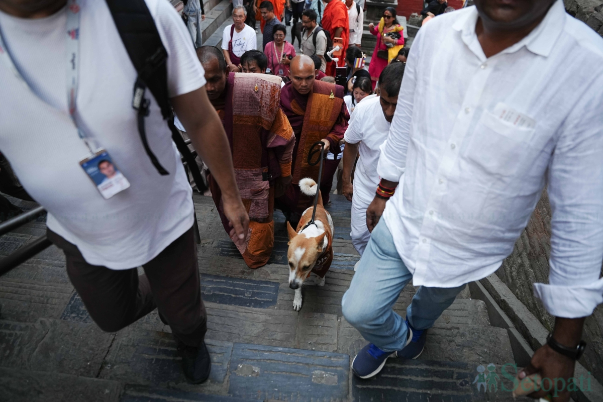 walk-for-peace-(8)-1781530682.jpg