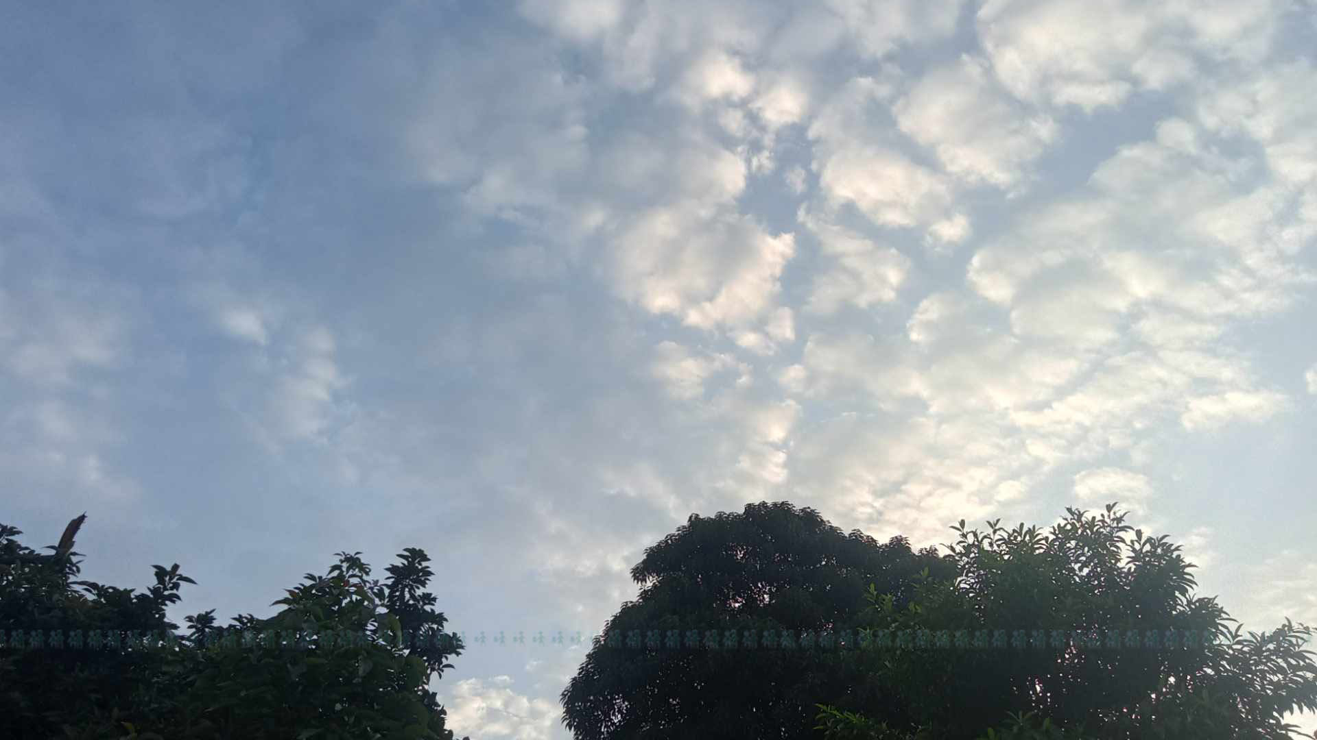 फाइल तस्बिर