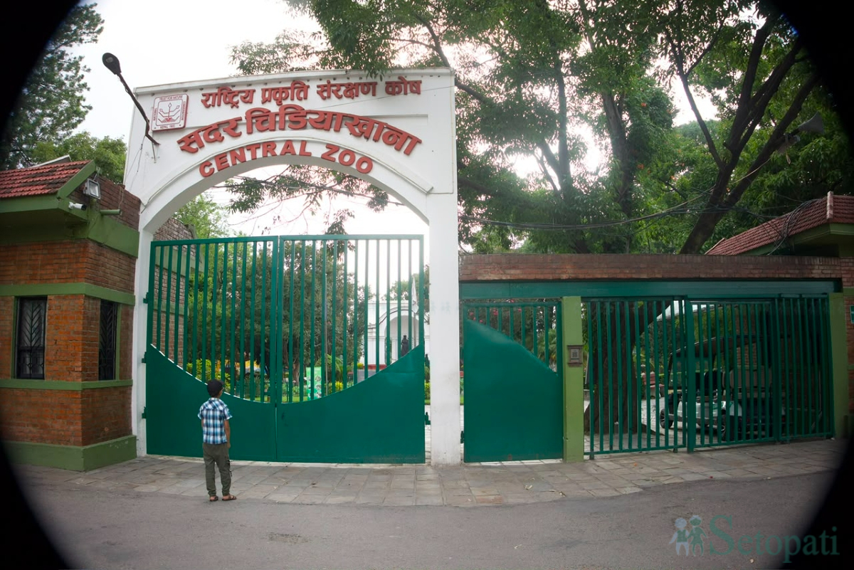 zoo-closed-(3)-1781868309.jpg